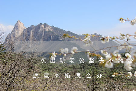 一次出轨老公坚决不离婚(老公多次出轨却不愿意离婚怎么办)