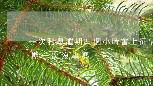 一次利息逾期3個小時會上征信嗎-利息逾期一次沒事嗎