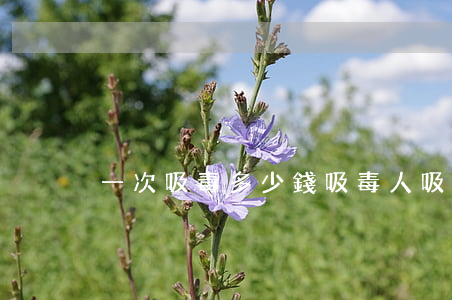 一次吸毒多少錢(吸毒人吸一次花多少錢)