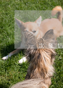一次征信逾期還能房貸嗎