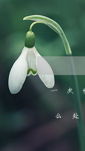 一次性起诉网贷平台 一次性起诉网贷平台怎么处理