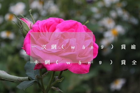 一次網(wǎng)貸逾期信用卡降額(信用卡網(wǎng)貸全面逾期三個(gè)月已無(wú)力償還)