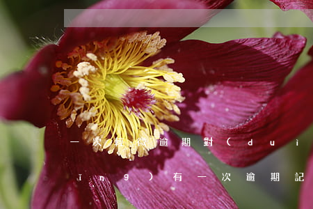 一次輕微逾期對(duì)信用卡申請(qǐng)(有一次逾期記錄可以申請(qǐng)信用卡嗎)