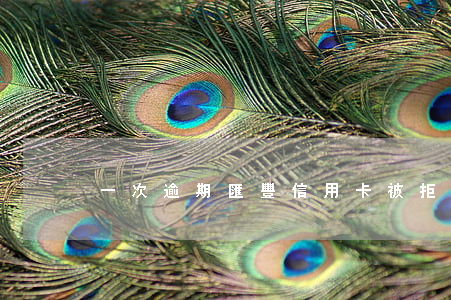 一次逾期匯豐信用卡被拒