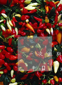 一次逾期半個(gè)月能貸款嗎(貸款逾期半個(gè)月會(huì)怎么樣)