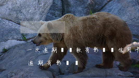 一次逾期對貸款有影響嗎信用卡(貸款有一次逾期有影響嗎)