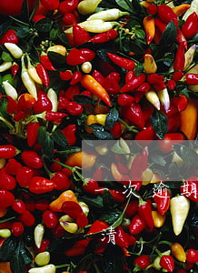一次逾期就要全額還款嗎(逾期后要求一次還清)