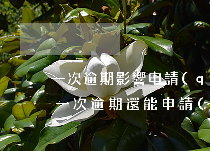 一次逾期影響申請(qǐng)信用卡嗎(有一次逾期還能申請(qǐng)信用卡嗎)