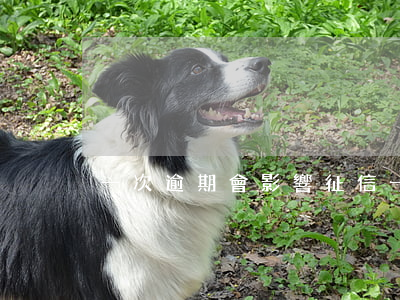 一次逾期會影響征信(一次逾期會影響征信)