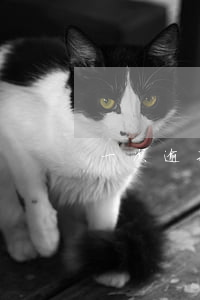一次逾期花唄(一次逾期花唄)