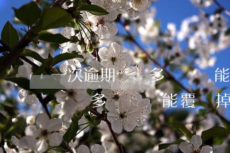 一次逾期記錄多長時間能覆蓋掉-一次逾期記錄多長時間能覆蓋掉啊