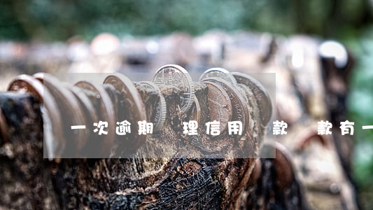 一次逾期辦理信用貸款(貸款有一次逾期怎么辦)