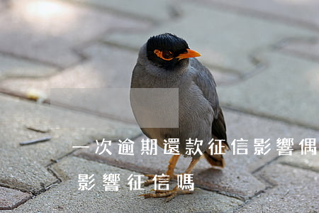 一次逾期還款征信影響(偶爾一次逾期還款會影響征信嗎)