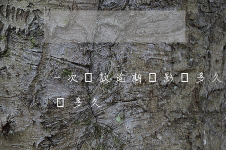 一次還款逾期將影響多久(一次還款逾期將影響多久)