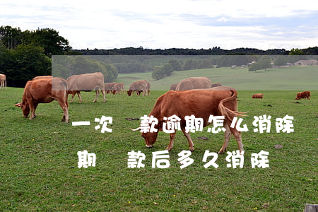 一次還款逾期怎么消除(個(gè)人貸款逾期還款后多久消除)