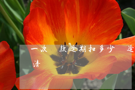 一次還款逾期扣多少錢(逾期了是要一次性還清嗎)