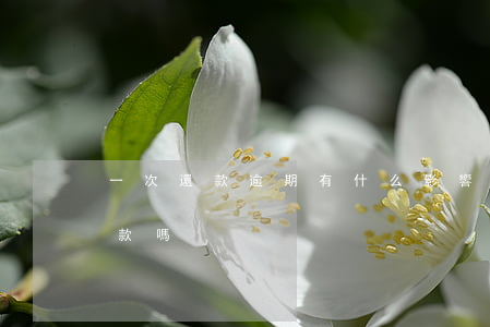 一次還款逾期有什么影響(逾期就要一次性還款嗎?)