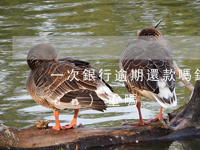 一次銀行逾期還款嗎(銀行逾期一次很嚴(yán)重嗎)