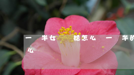 一歲半女兒離婚怎么辦(一歲半的寶寶離婚怎么辦)