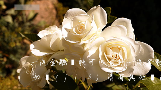 一汽金融貸款可以逾期(一汽金融逾期,要求全部結(jié)清,有其他辦法嗎)