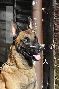 一汽金融貸款逾期5天(金融公司車貸逾期15天)