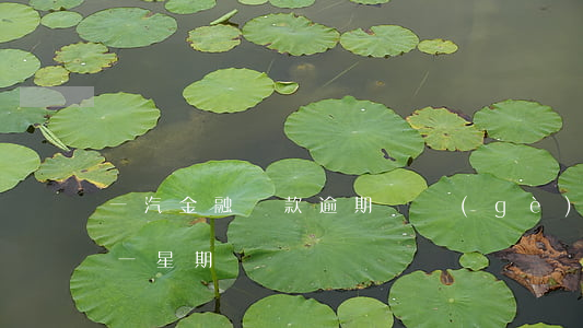 一汽金融貸款逾期兩個(gè)月(車貸逾期一星期)