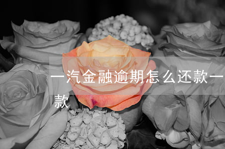 一汽金融逾期怎么还款(一汽金融逾期怎么还款)