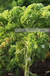一汽金融逾期還款影響(一汽金融還款遲了一天)