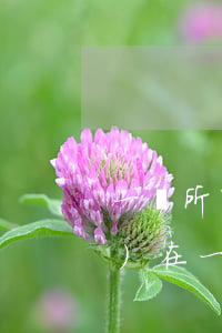 一無所有欠了幾十萬怎么辦-現(xiàn)在一無所有還欠十幾萬怎么辦