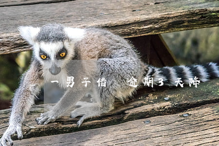 一男子借唄逾期3天降額