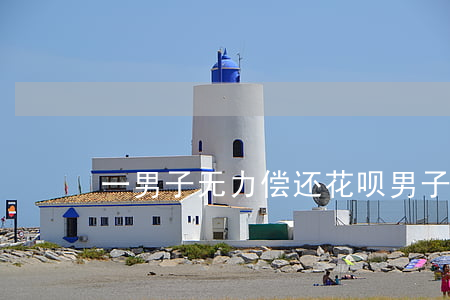 一男子无力偿还花呗(男子拒还花呗)