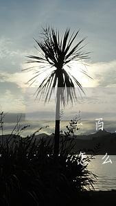 一百多家網貸還不起(一百多家網貸還不起會怎么樣)