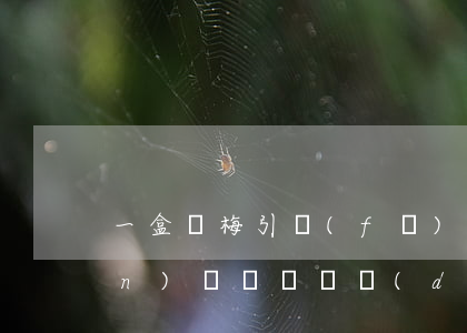 一盒楊梅引發(fā)的校園侵權(quán)糾紛，誰來擔(dān)責(zé)