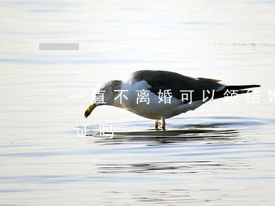 一直不离婚可以领结婚证吗(不离婚能领结婚证吗)