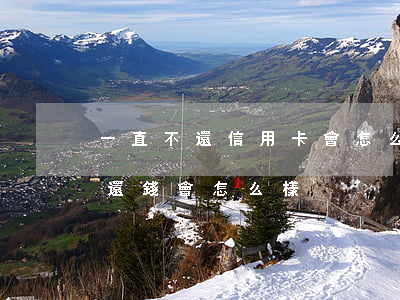 一直不還信用卡會怎么辦(信用卡如果一直不還錢會怎么樣)