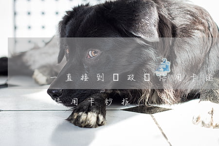 一直接到郵政說信用卡逾期(為什么郵政銀行信用卡秒拒)