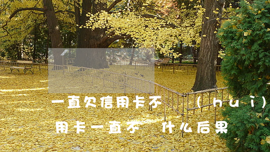 一直欠信用卡不還會(huì)怎么樣(欠信用卡一直不還什么后果)