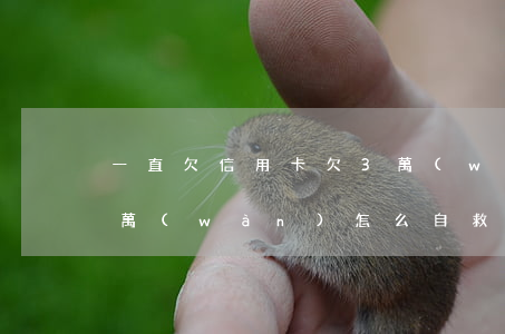 一直欠信用卡欠3萬(wàn)(欠信用卡3萬(wàn)怎么自救)