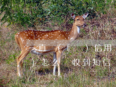 一直發(fā)信用卡逾期信息會(huì)怎么樣(收到短信說信用卡逾期被起訴)