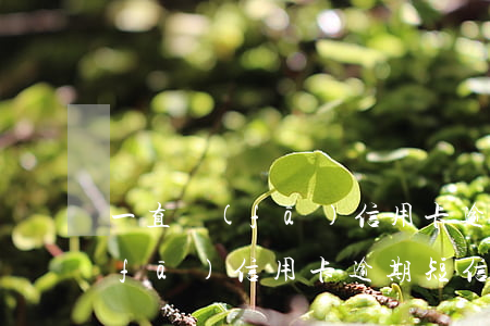 一直發(fā)信用卡逾期短信-一直發(fā)信用卡逾期短信