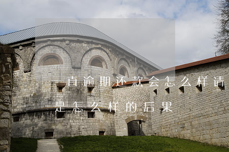 一直逾期还款会怎么样(请问贷款逾期还款会是怎么样的后果)