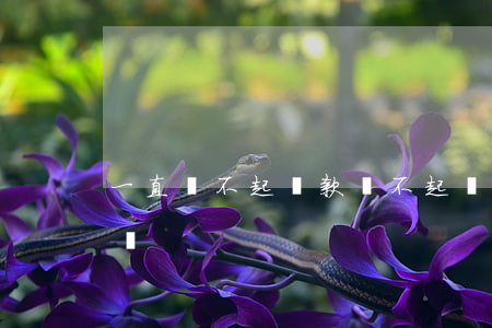 一直還不起貸款(還不起貸款會(huì)怎樣)