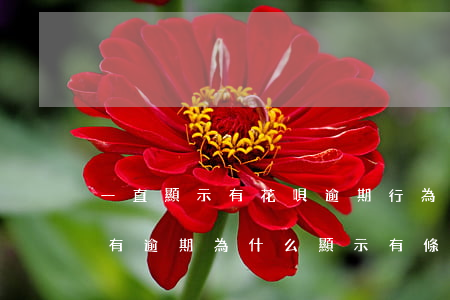一直顯示有花唄逾期行為(花唄沒(méi)有逾期為什么顯示有條逾期需要修復(fù))