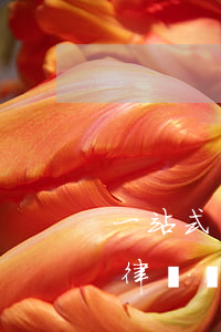 一站式債務(wù)債權(quán)案件律師價(jià)格咨詢-債務(wù)在線律師咨詢
