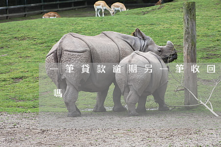 一筆貸款逾期另一筆收回(兩筆逾期影響貸款嗎)