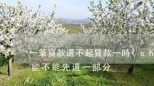 一筆貸款還不起(貸款一時(shí)還不上,能不能先還一部分)