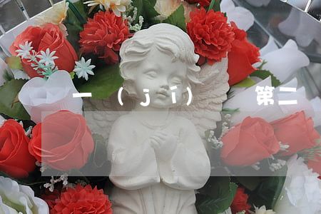 一級(jí)侓師第二冊(cè)到多少章