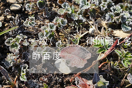 一級(jí)律師刪了多少(一級(jí)律師百度)