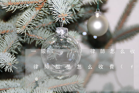 一級(jí)律師怎么收費(fèi)(一般律師都是怎么收費(fèi)的)