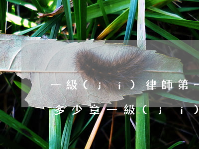 一級(jí)律師第一次肉車(chē)在多少章(一級(jí)律師開(kāi)車(chē)在哪一章)